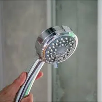 Shower Head